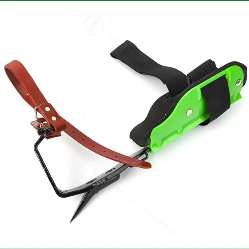 Cast Steel Green Plastic Tree  - Shoe Tree review and price