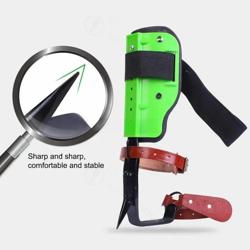 Cast Steel Green Plastic Tree  - Shoe Tree review and price