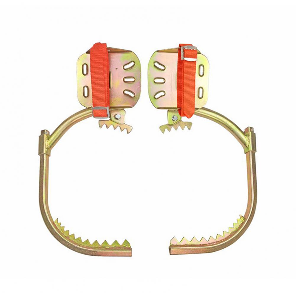 1 Set Tree Climbing Spike Adju - Shoe Tree review and price
